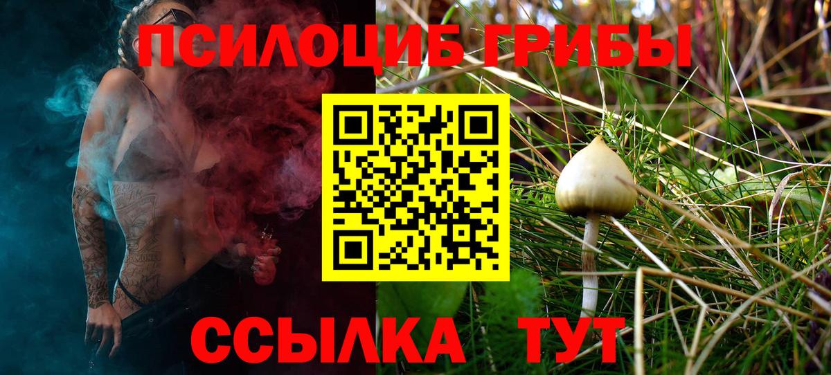 Кимры  Псилоцибиновые грибы прущие грибы  Вход с VPN  Галлюциногенные грибы Psilocybe 